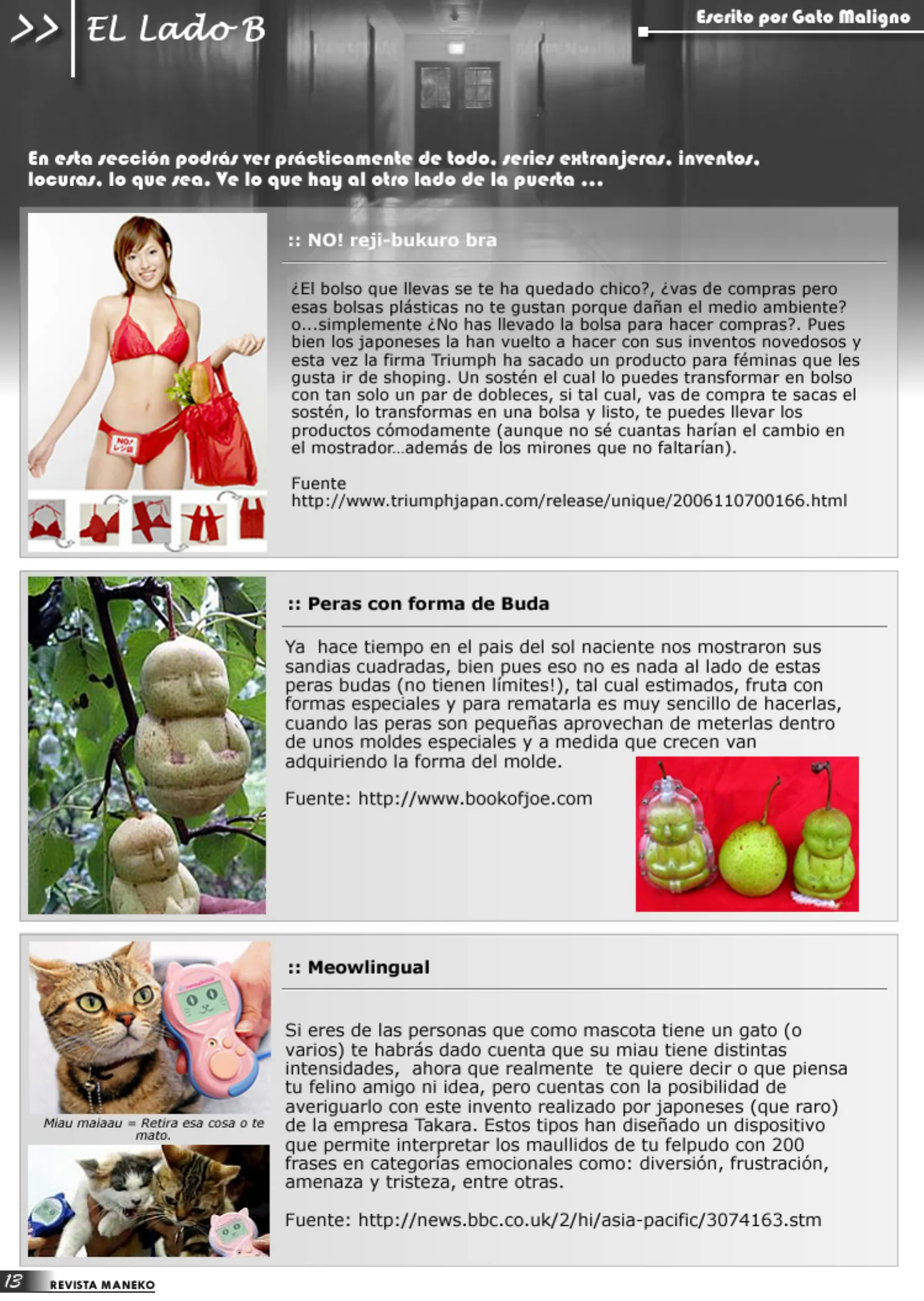 Revista Maneko N°01 página 14