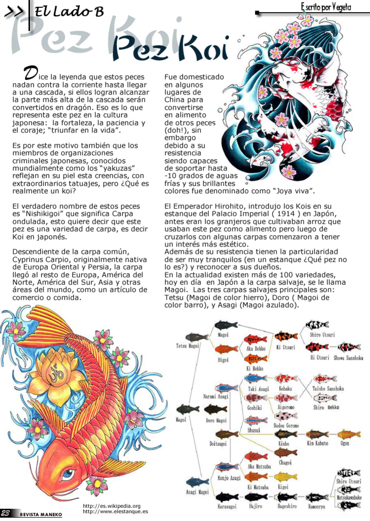 Revista Maneko N°06 página 24
