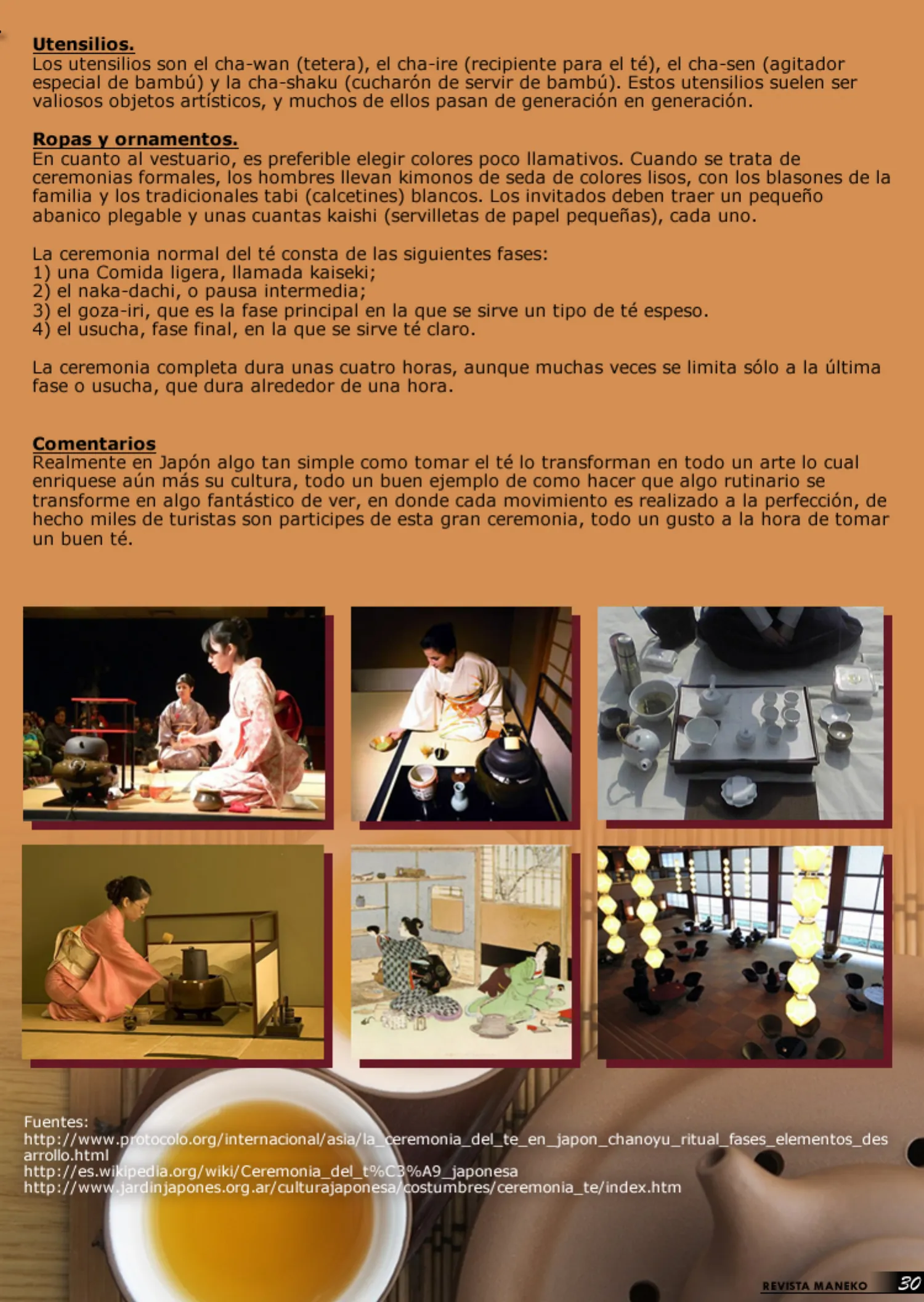 Revista Maneko N°13 página 31