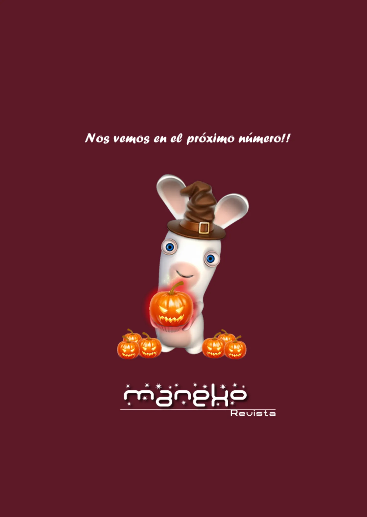 Revista Maneko N°14 página 40