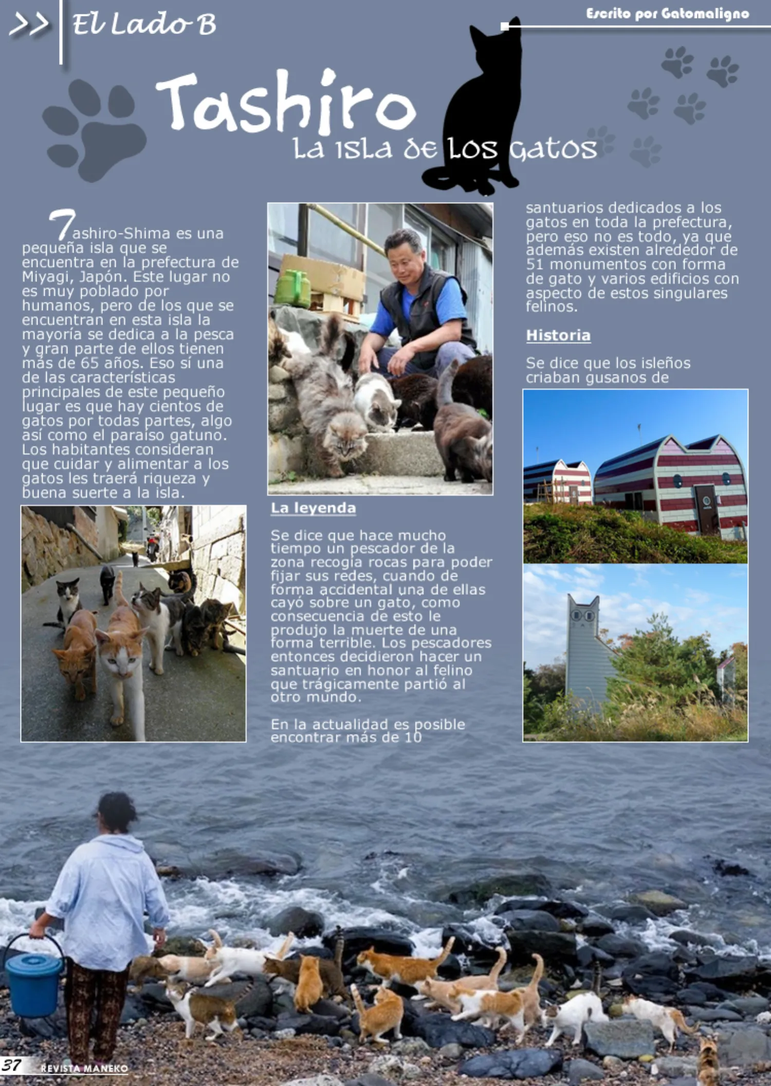 Revista Maneko N°25 página 38