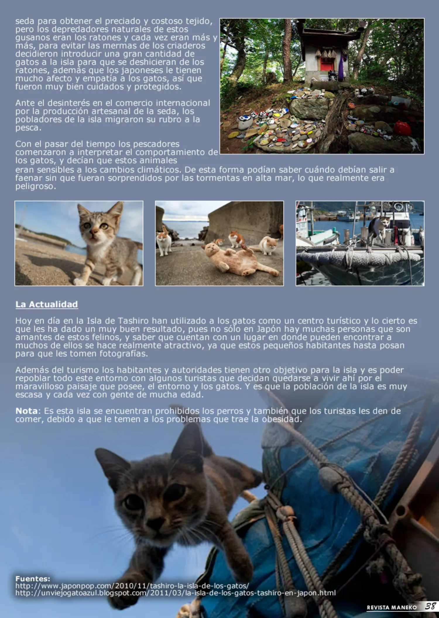 Revista Maneko N°25 página 39