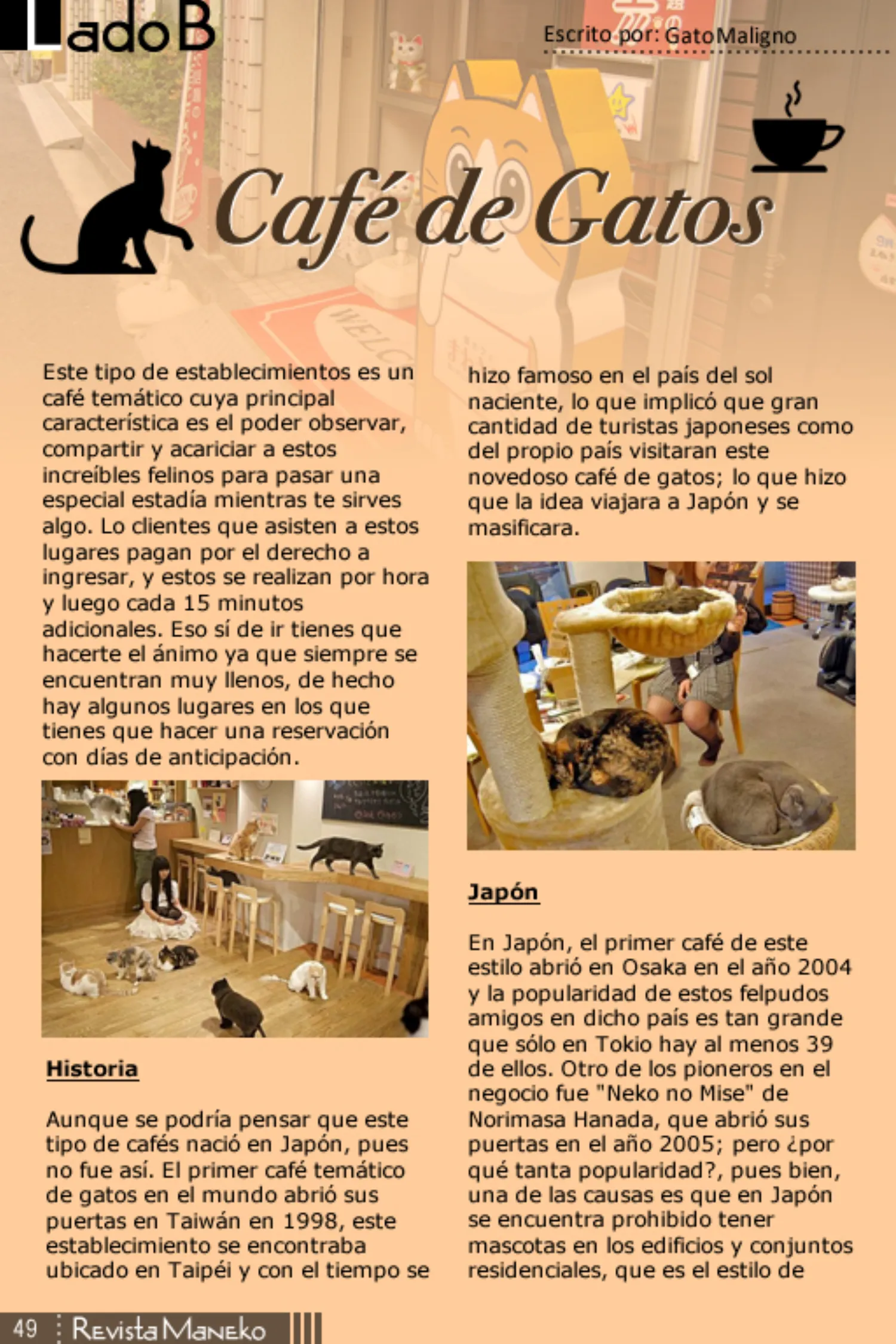 Revista Maneko N°37 página 50