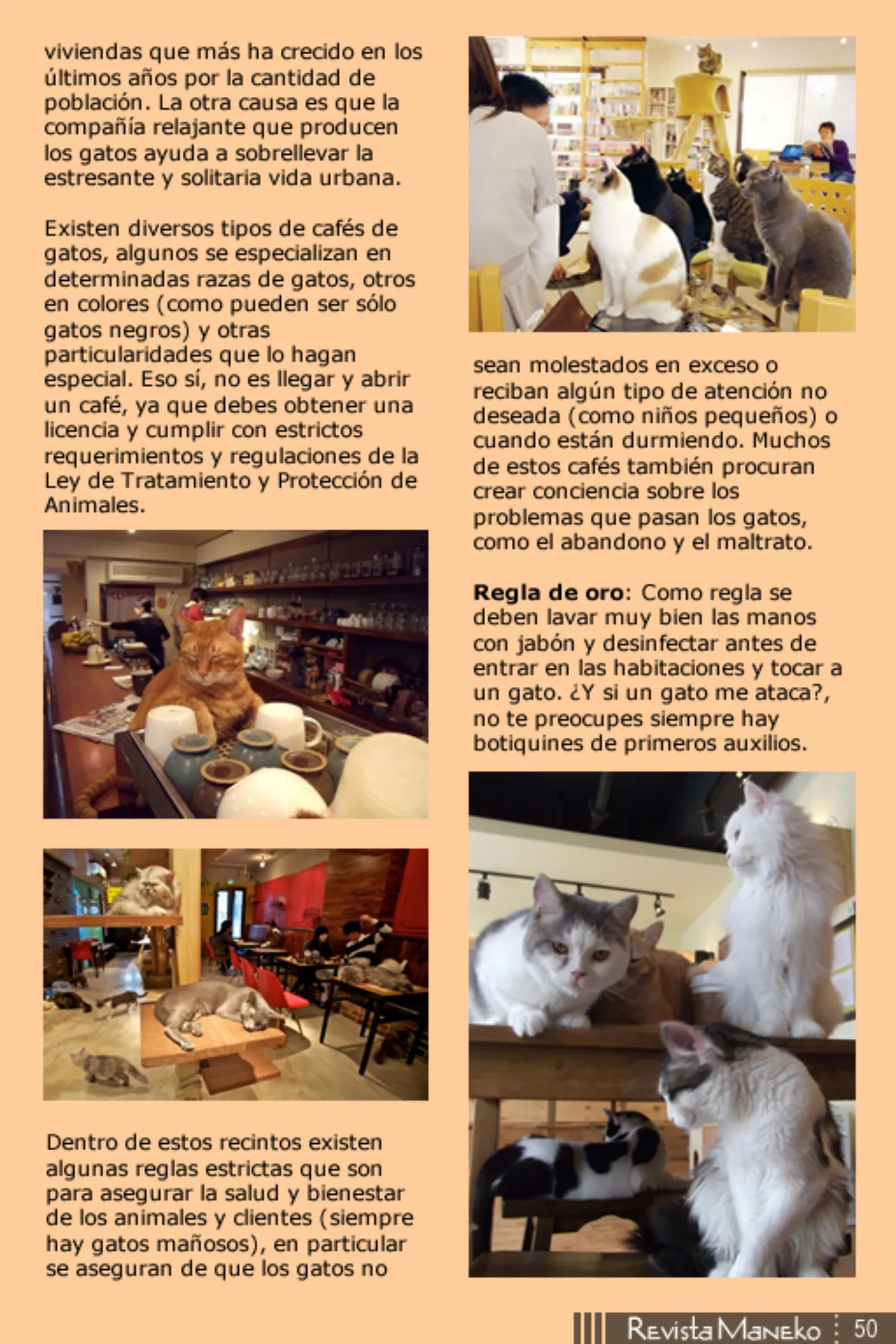 Revista Maneko N°37 página 51