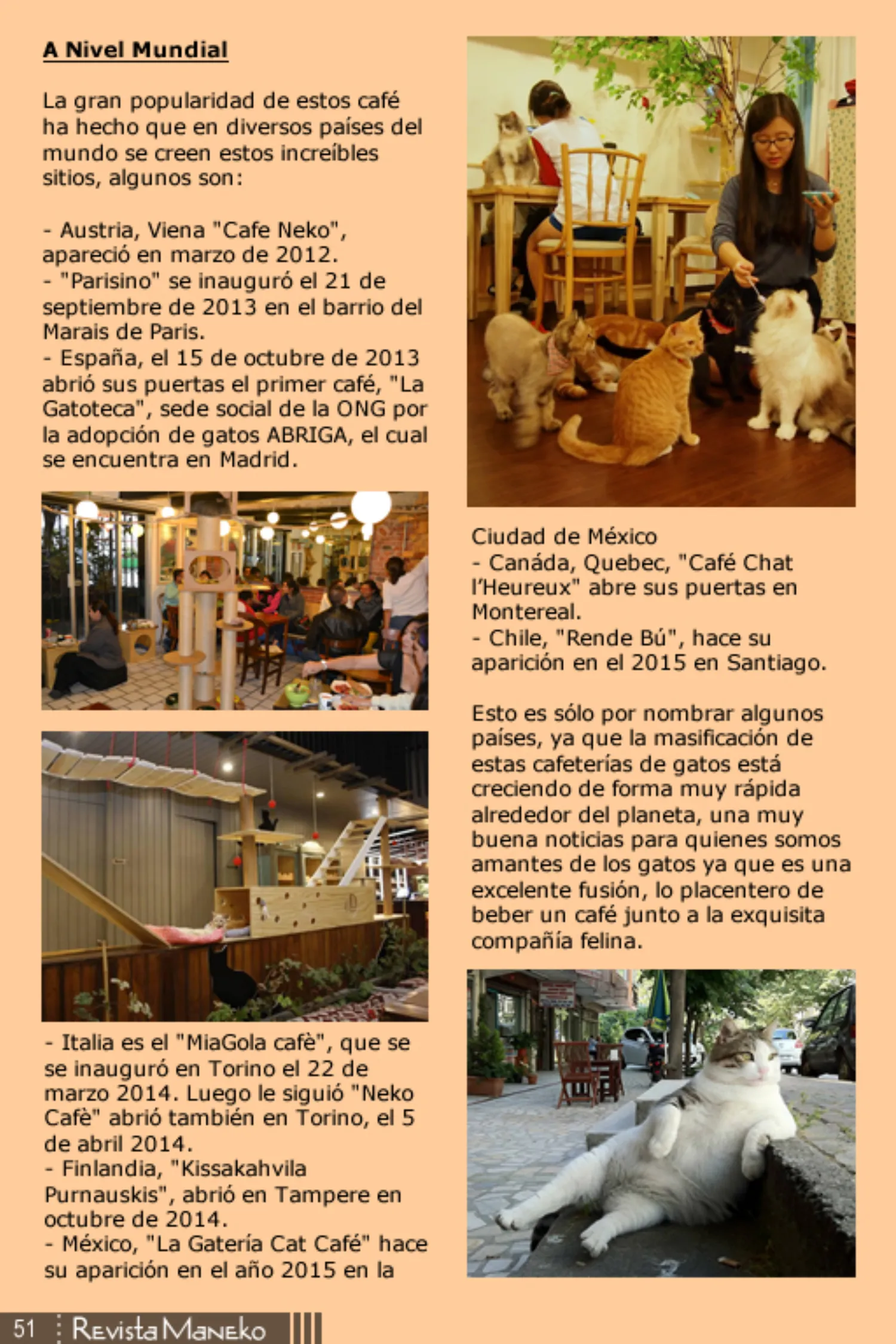 Revista Maneko N°37 página 52