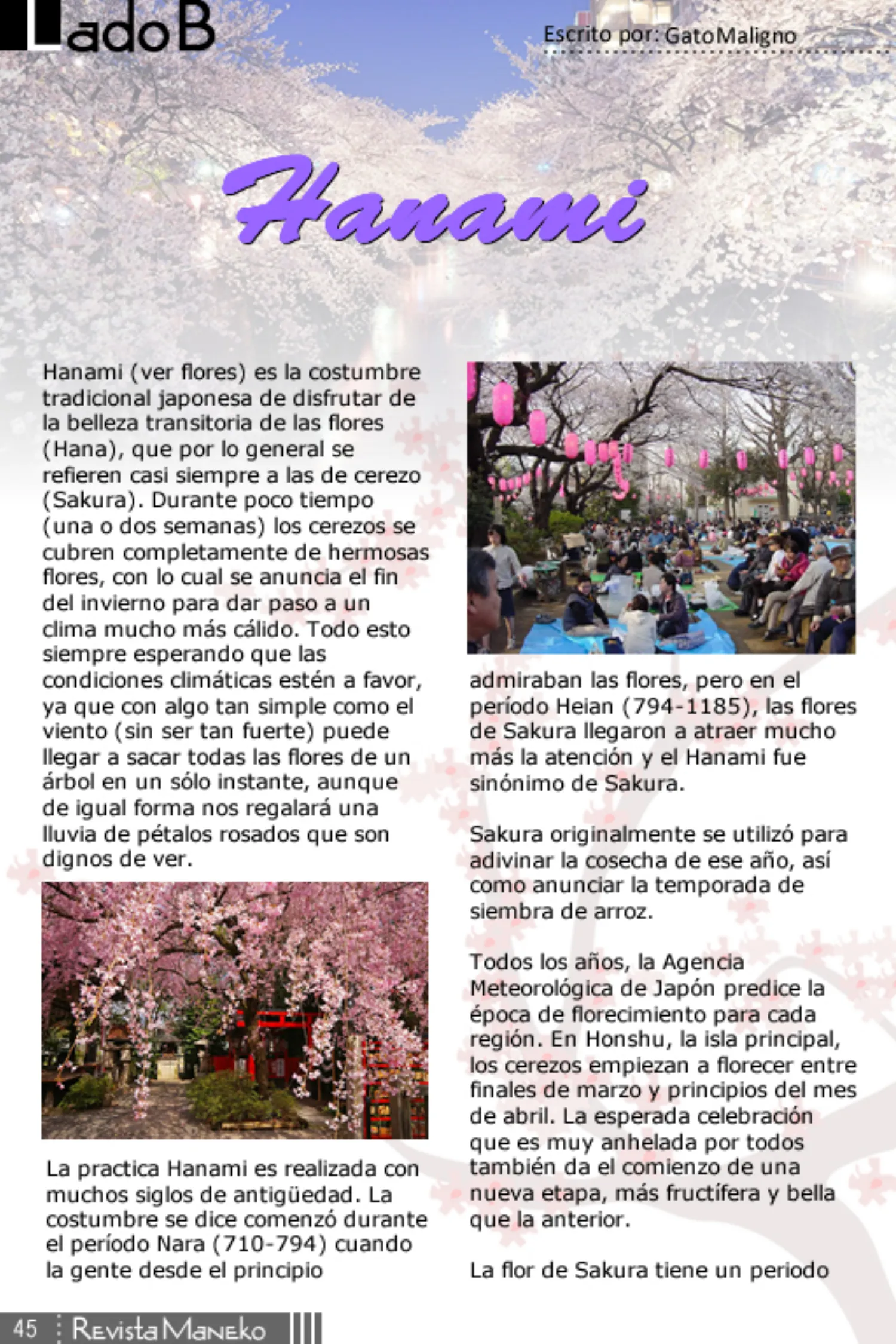 Revista Maneko N°40 página 46