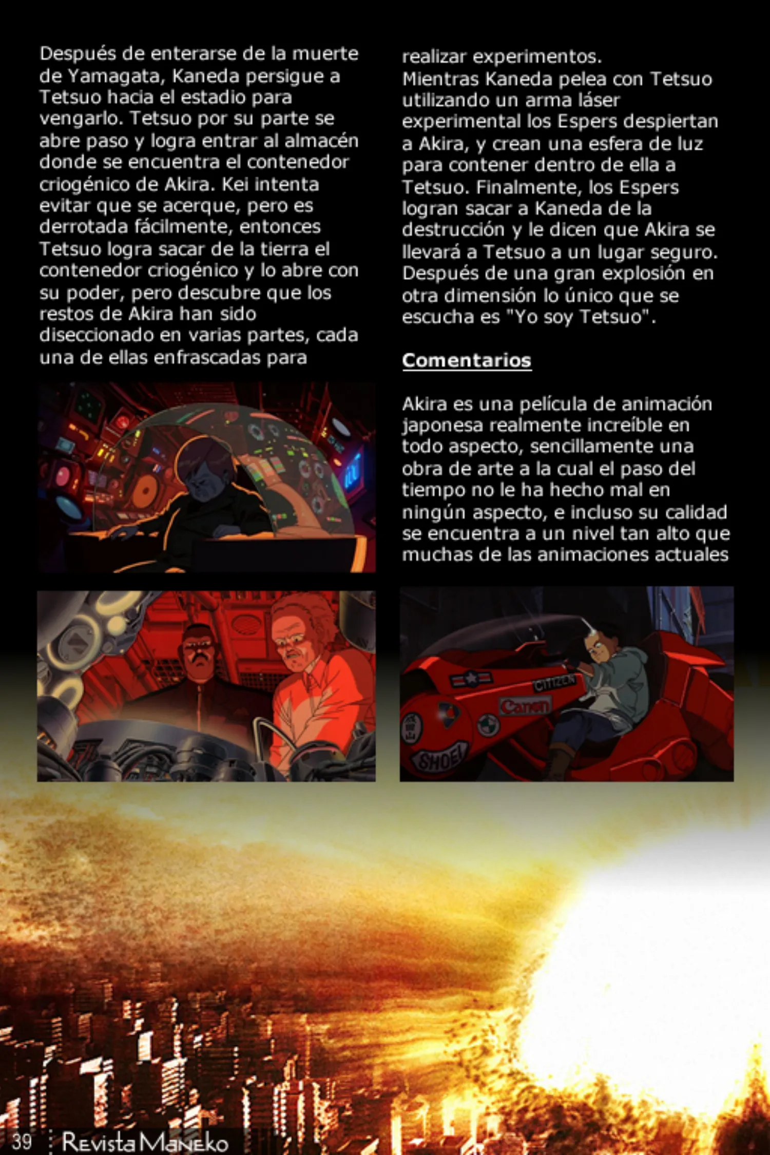 Revista Maneko N°43 página 40