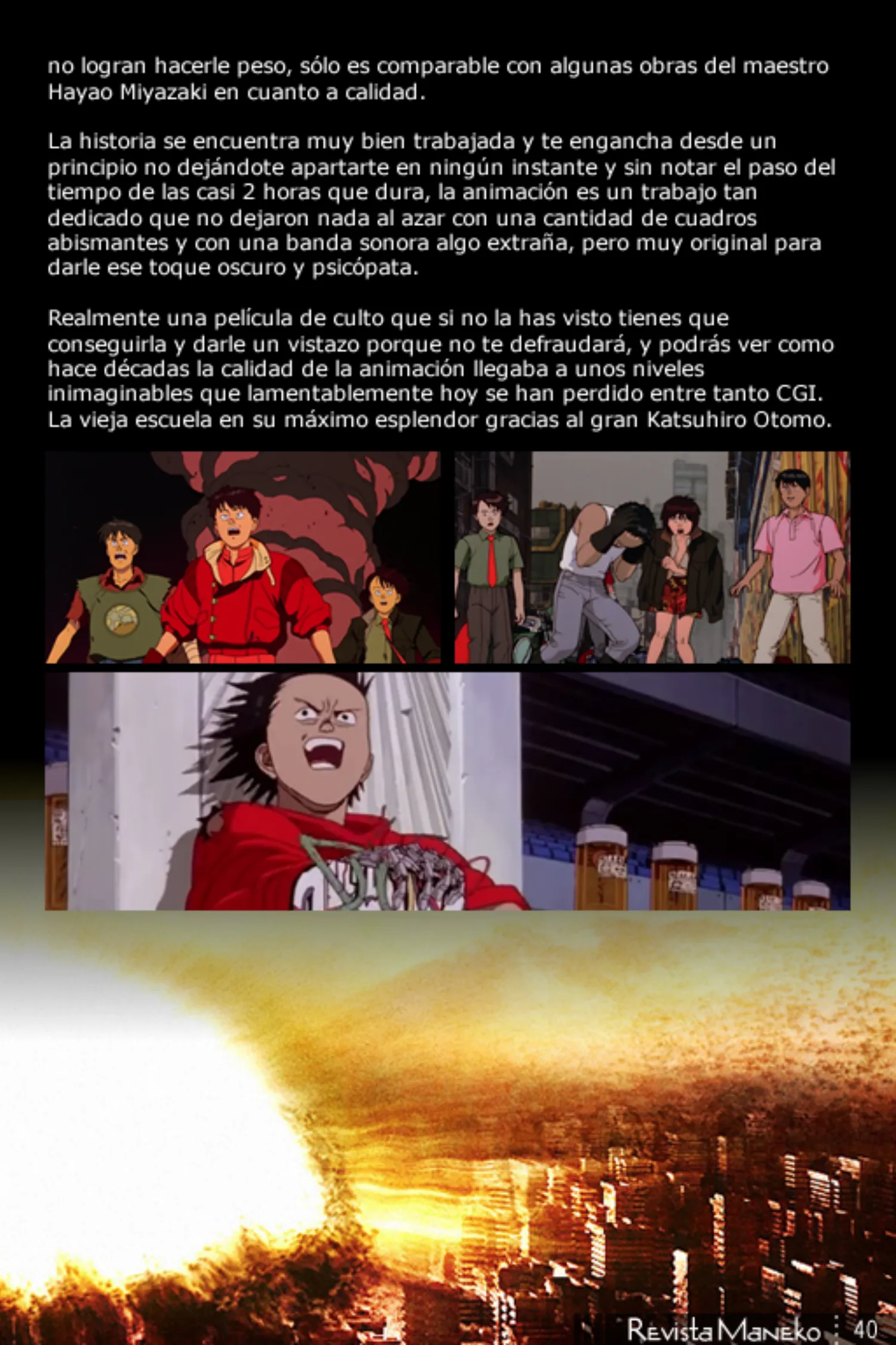 Revista Maneko N°43 página 41