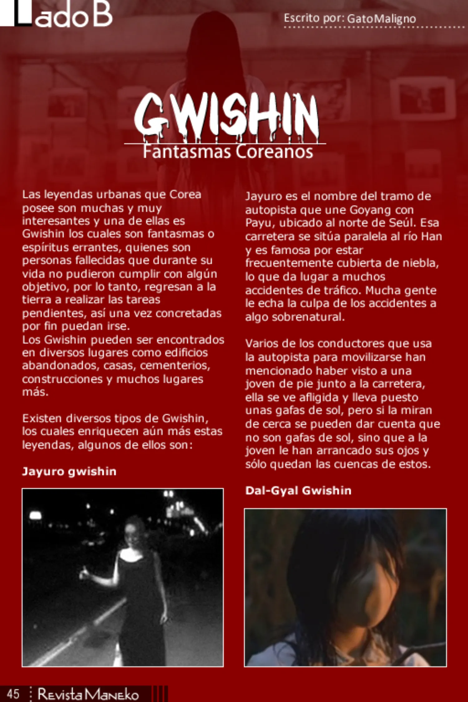 Revista Maneko N°44 página 46