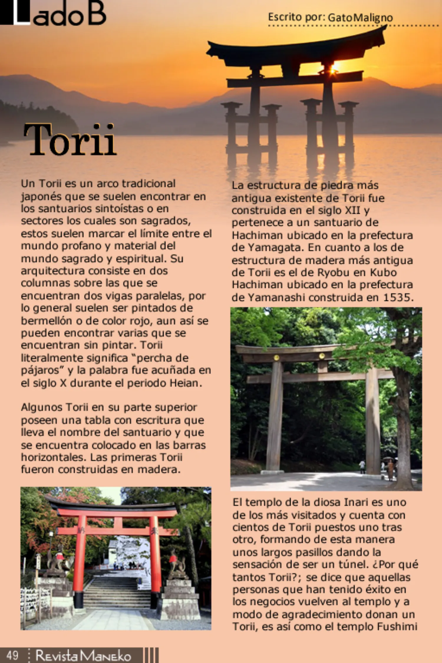 Revista Maneko N°46 página 50